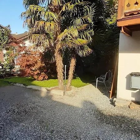 Etoile Filante * Bex