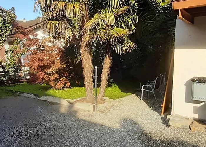 Etoile Filante * Bex